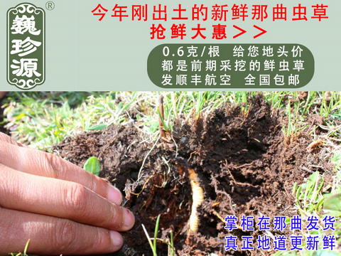 rx(chng)Ĳݣrx(chng)ΡԴ0.6/^rx(chng)Ĳڳ^rx(chng)