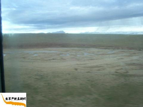 �ɿ�����,��ظ�ԭ,�x�ݮa��ֱ�N�W